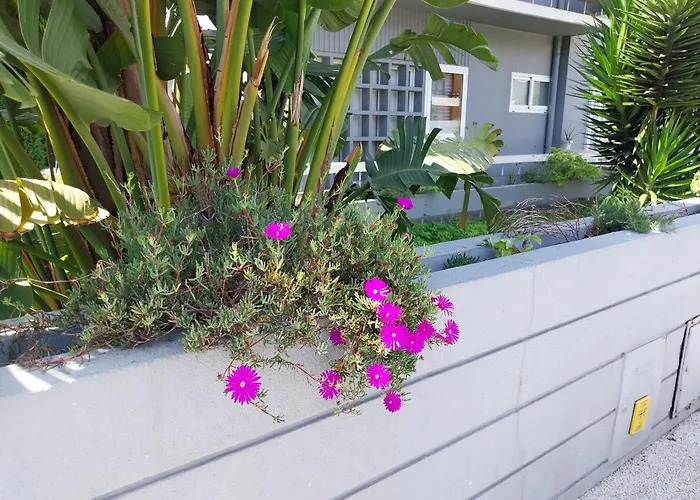 Buddies Charm House * Aveiro