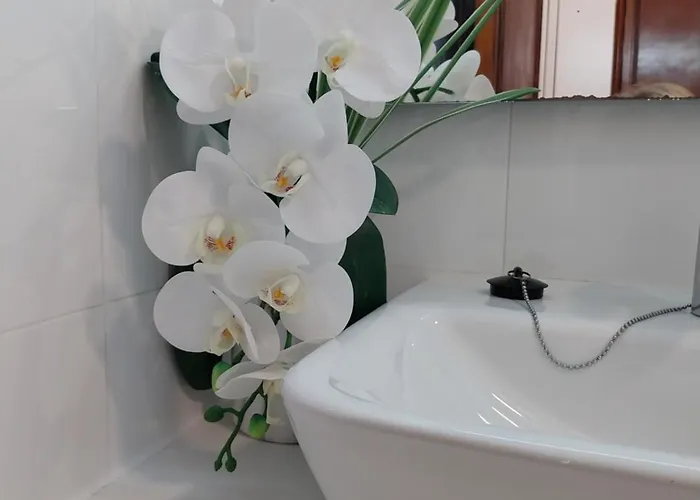 Buddies Charm House Aveiro