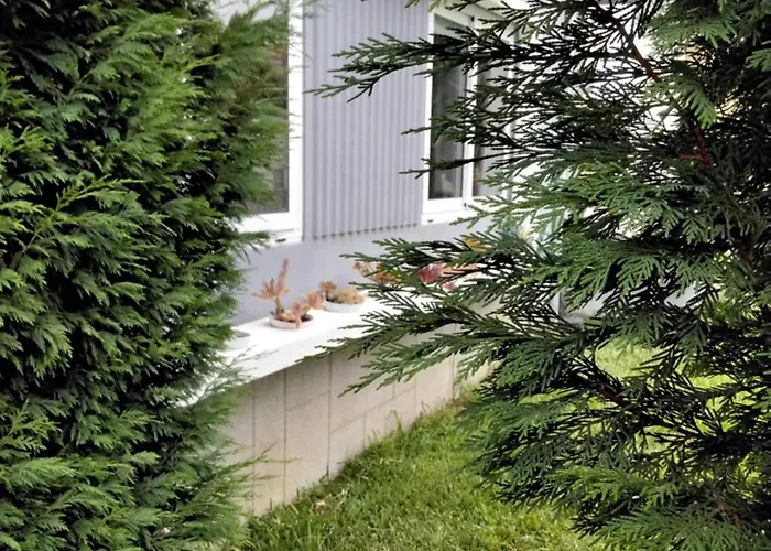 Appartement Buddies Charm House